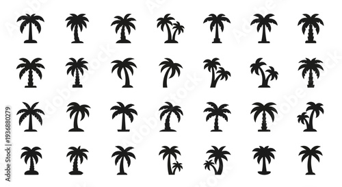 Collection of various palm tree silhouettes arranged in a grid pattern on a plain background, viewed from directly above.