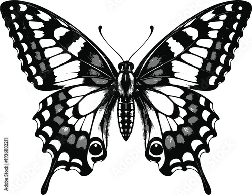 Butterfly Clip art