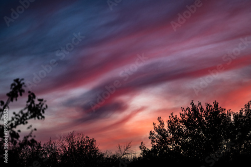 Dramatic sunset sky with purple pink clouds and tree silhouettes
