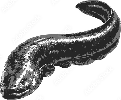 Electric eill Clip art