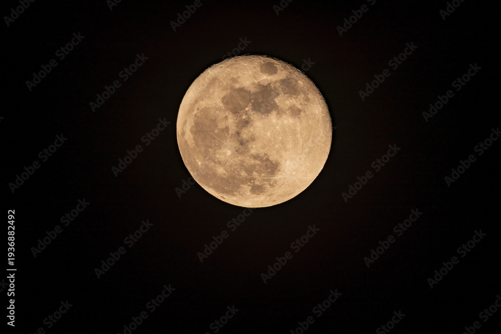 Obraz premium Large yellow full moon isolated on black background, astronomical photography
