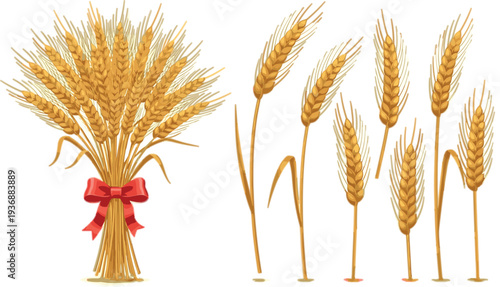 Golden Wheat Ears and Harvest Wheat Sheaf Vector Illustration Set with Ripe Cereal Plants Agricultural Grain Bundle Isolated on White