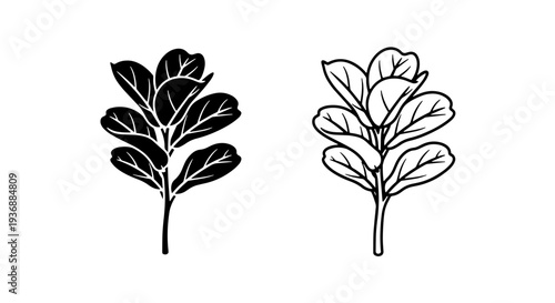 Tropical Fiddle Leaf Fig Plant Icon Ficus Lyrata for Modern Home Decor and Nature