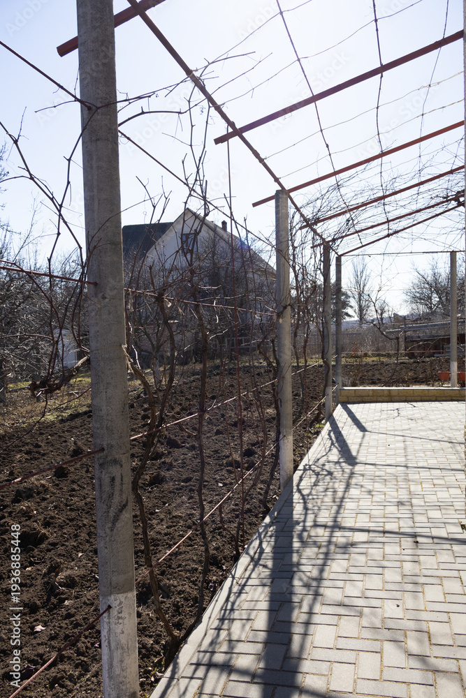 Fototapeta premium Sunlight hitting a paved backyard path next to a tilled garden plot with metal supports for climbing plants in a rural setting
