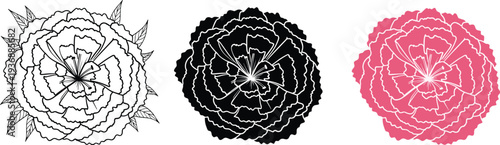 Rose flower illustration set, black white and pink floral bloom vector design isolated decorative botanical collection