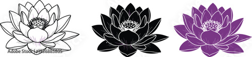 Lotus flower illustration set, black white and purple water lily floral tattoo style vector design isolated