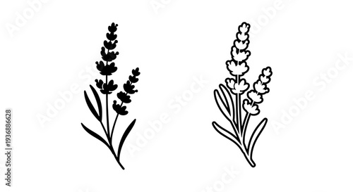 Elegant Double Lavender Sprigs Icon Vector for Natural Wellness Brands
