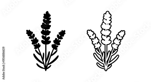 Graceful Triple Lavender Sprigs Icon Vector for Spa and Beauty Products