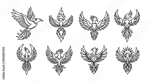Collection of intricately detailed phoenix illustrations in black and white