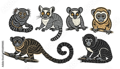 Colorful vector illustration of diverse lemur species in playful poses