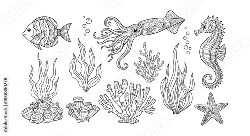 Intricate black and white illustration of various marine life and plants