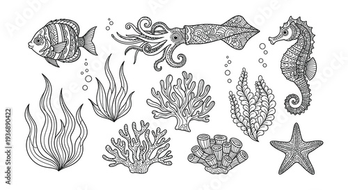 Intricate black and white illustration of various marine life and plants