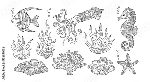 Intricate black and white illustration of various marine life and plants