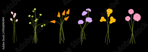 Wildflower bouquet elements and blooming meadow plants. Colorful botanical stems for creating floral arrangements, spring decorations and greeting card designs. Flat vector set