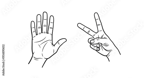 Two hands displaying different gestures, rock paper scissors game concept.