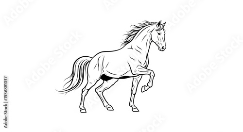 Elegant horse illustration - A detailed black and white drawing of a majestic equine.