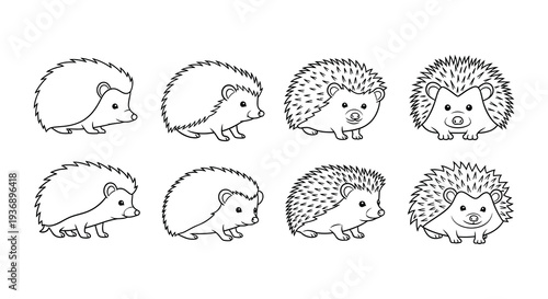 Collection of adorable hedgehog illustrations in various poses and styles