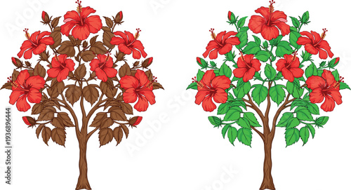 Red hibiscus flower trees illustration, tropical blooming plants with green and brown leaves isolated on white background botanical design