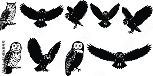 Owl silhouettes collection with flying and perched owls, detailed nocturnal bird icons isolated on white background, wildlife and forest predator illustration set