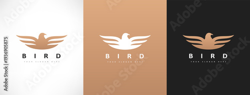 Bird logo vector. Bird in flight design