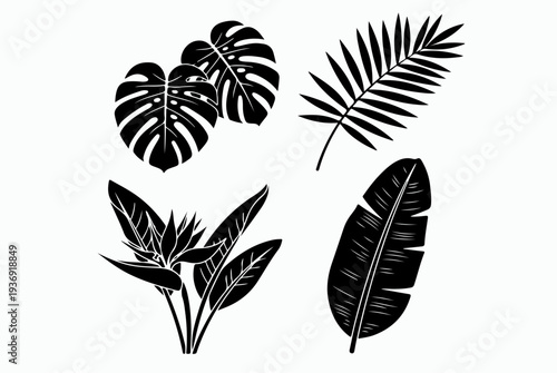 Tropical palm leaves silhouettes and line art set.