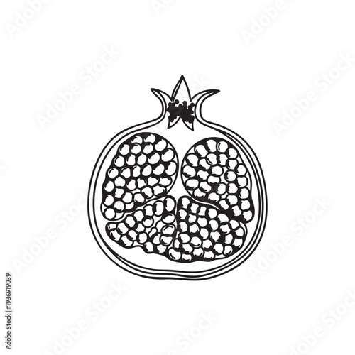 Half pomegranate, cut open to reveal juicy arils and seeds, detailed line art illustration, isolated on white background