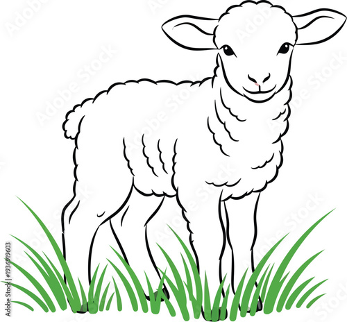 Adorable little cartoon lamb illustration with soft white wool standing peacefully in green grass, depicting innocence and rural charm.