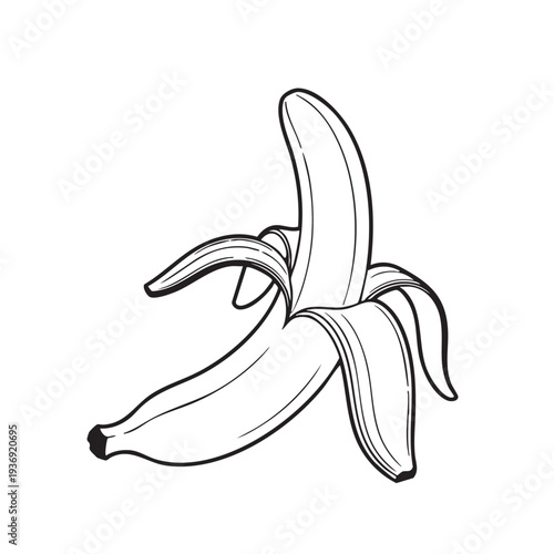 Partially peeled ripe banana with peel sections pulled back. Healthy organic fruit illustration for food, diet, and breakfast themes. Simple linework.