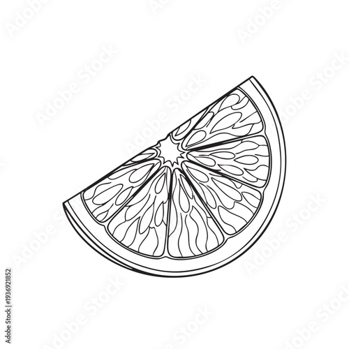 Orange slice isolated on white background. Fresh citrus fruit segment with juicy pulp and rind, simple outline drawing for healthy food design element and culinary illustration.