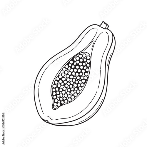 Half sliced papaya with seeds and flesh detailed black and white outline illustration on white background, tropical fruit concept.
