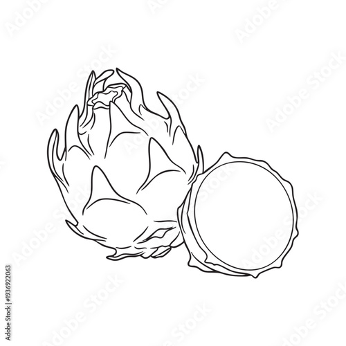 Stylized black outline of a whole dragon fruit next to a cross-section revealing its distinct inner pattern and textures a vibrant tropical fruit