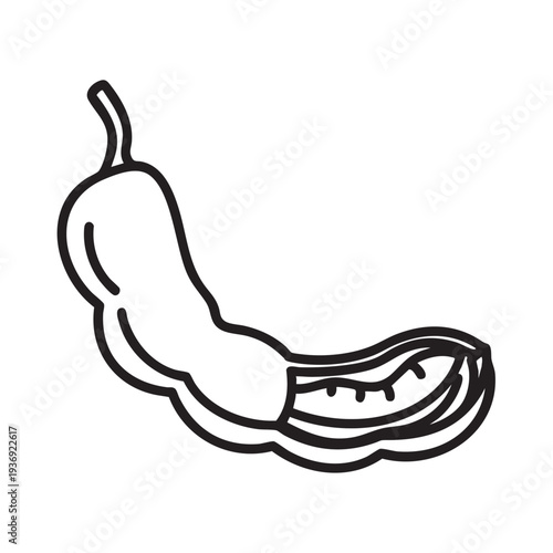Tamarind fruit outline drawing with a split pod showing seeds, black and white sketch art, tropical fruit vector illustration, sour taste concept, ingredient graphic resource for food and drinks