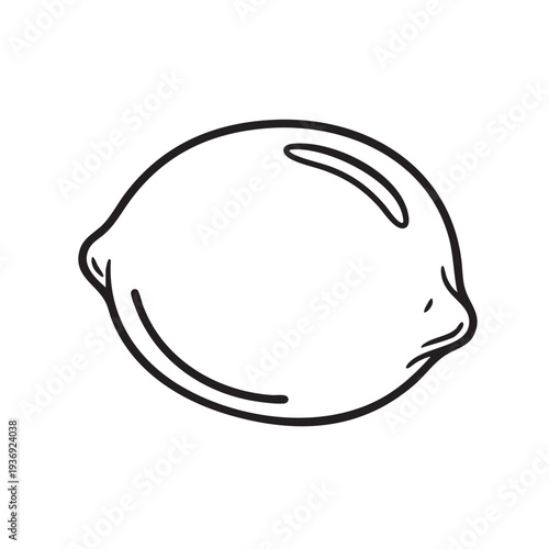 lemon vector illustration in line art style isolated on white background, black and white sketch drawing of citrus fruit, sour taste concept