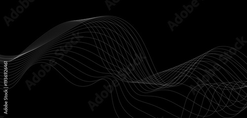 Abstract Futuristic Monochrome Wave Lines: A Series of Fluid White Curved Lines and Dynamic Sound Wave Patterns on a Minimalist Black Background for Digital Technology and Creative Design.