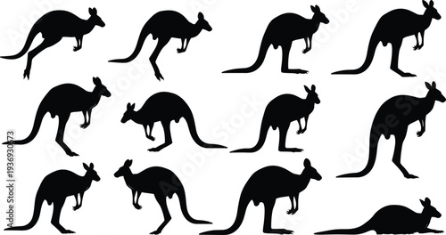 Black kangaroo silhouettes set featuring Australian wildlife characters hopping, standing, and resting for outback nature designs and animal logo illustrations.