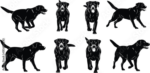 Black Labrador Retriever dog silhouette set featuring various poses including running walking and sitting isolated on a plain white background.