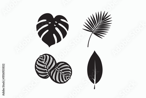 Tropical palm leaves silhouettes and line art set.