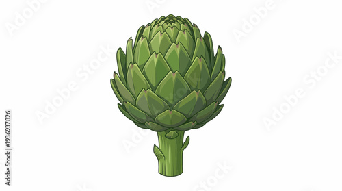 artichoke on a white background