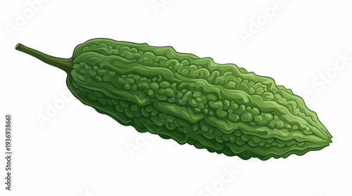 bitter melon on white background