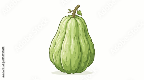 fresh zucchini isolated on white