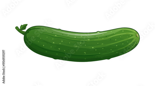 vector of a cucumber isolated on white background