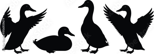 Black Mallard Duck Silhouette Set Featuring Waterfowl in Various Poses Including Standing Sitting and Flapping Wings Isolated on White Background for Vector Design