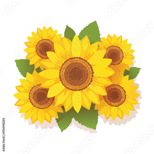 Vibrant sunflowers vector illustration isolated on white background