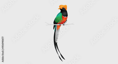 Colorful resplendent quetzal bird perched on a branch vector illustration on white background