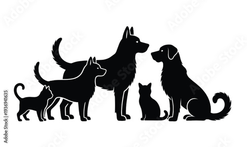 Black silhouette group of various domestic dogs and cats standing together in a row isolated on white background for veterinary clinic pet care services