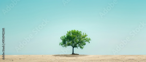 Panel kuchenny z motywem Single lush tree standing alone on barren sandy land under a clear pale blue sky, symbolizing resilience, isolation, and environmental contrast.