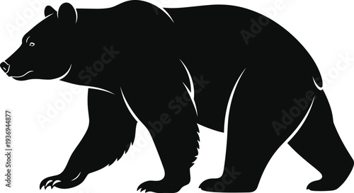Black and white silhouette of a large grizzly bear walking forward with detailed muscle lines for wildlife and nature design. (20 words)
