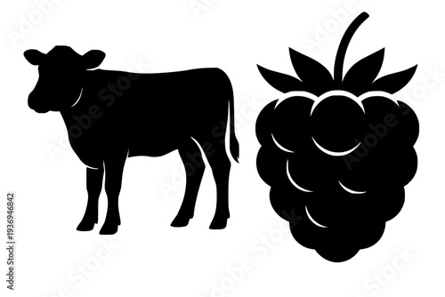 Black cow silhouette with realistic fig fruit illustration minimalist design