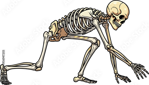 Creepy human skeleton crawling on all fours across ground