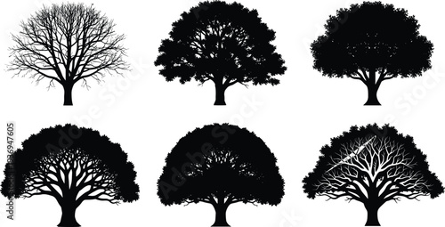 Black and white vector illustration of various tree silhouettes including leafy oaks and bare winter branches for landscape design projects.